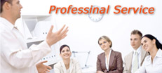 Professional Service